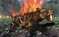 Framed Saber Toothed Tiger Running from Fire