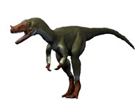 Framed Proceratosaurus Dinosaur