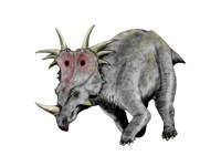 Framed Styracosaurus Dinosaur