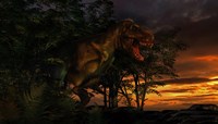 Framed Tyranosaurus Rex in a Forest