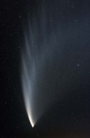 Framed Comet McNaught P1