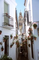 Framed Calleja de las Flores (Flower Alley), Spain