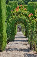 Framed Archway of trees in the gardens of the Alhambra, Granada, Spain