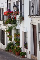 Framed Spain, Andalucia Region, Cadiz, Grazalema Potted plants by a home