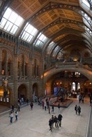 Framed England, London, Natural History Museum Great Hall