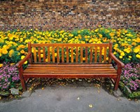 Framed England, Northumberland, Hexham, Park bench