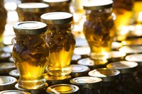 Framed Local Honey, Anafonitria, Zakynthos, Ionian Islands, Greece