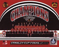 Framed Chicago Blackhawks 2015 Stanley Cup Champions Team Sit Down Photo