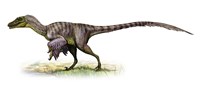 Framed Velociraptor, a Prehistoric Era Dinosaur