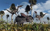 Framed Velociraptors Attack a Lone Protoceratops