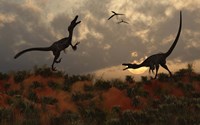 Framed Pair of Velociraptors