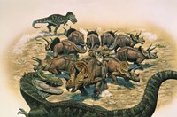 Framed Herd of Triceratops Defend their Territory