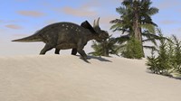 Framed Triceratops Walking along a Prehistoric Landscape