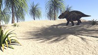 Framed Triceratops Walking in a Tropical Environment 1