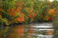 Framed Hint of Fall