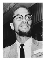 Framed Malcolm X at Queens Court