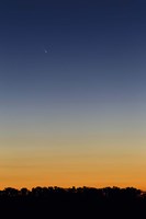 Framed Comet Panstarrs at twilight,  Buenos Aires, Argentina