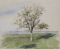 Framed Honfleur, Garden With Two Fruit Trees, Seaside, 1864