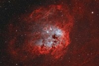Framed Tadpole Nebula II