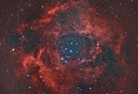 Framed Rosette Nebula I