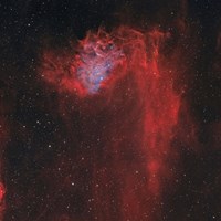 Framed Flaming Star Nebula I