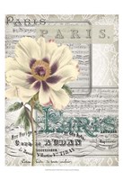 Framed Musical Paris II