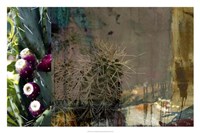 Framed Texas Cactus Collage