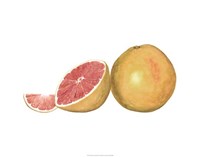 Framed Watercolor Grapefruit