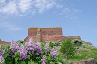 Framed Hammershus Castle Ruins