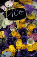 Framed Flower Bunches, Aix En Provence, France