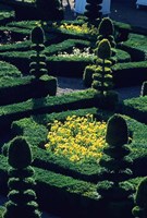 Framed Garden at Villandry Chateau in France