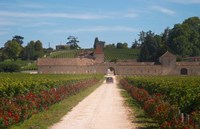 Framed Chateau Grand Mayne and Vineyard