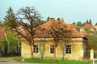 Framed House in Tokaj Village, Mad, Hungary