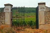 Framed Iron Gate to the Vineyard Clos Pitois