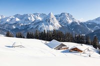 Framed Mieminger Mountains in Winter