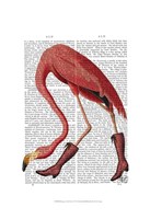 Framed Flamingo in Pink Boots