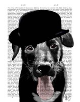 Framed Black Labrador in Bowler Hat