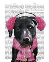 Framed Black Labrador With Ear Muffs