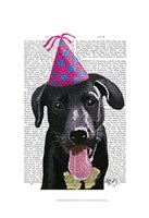 Framed Black Labrador With Party Hat