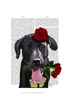Framed Black Labrador with Roses