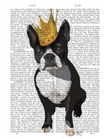 Framed Boston Terrier And Crown