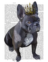 Framed French Bulldog King