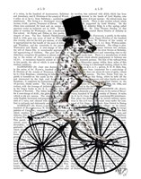 Framed Dalmatian on Bicycle