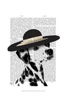 Framed Dalmatian and Brimmed Black Hat
