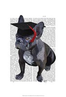Framed Graduation French Bulldog