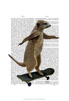 Framed Meerkat On Skateboard