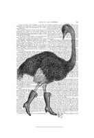 Framed Ostrich In Boots