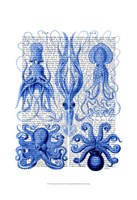 Framed Octopus & Squid Blue