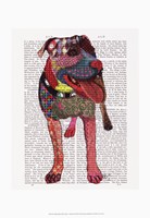Framed Staffordshire Bull Terrier - Patchwork