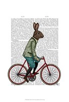 Framed Rabbit On Bike